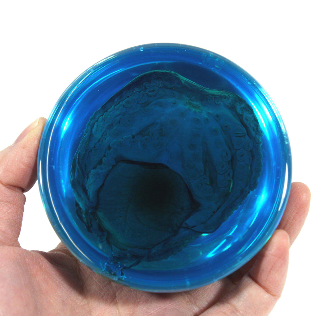 SS233<br/>Octopus Paperweight<br/>