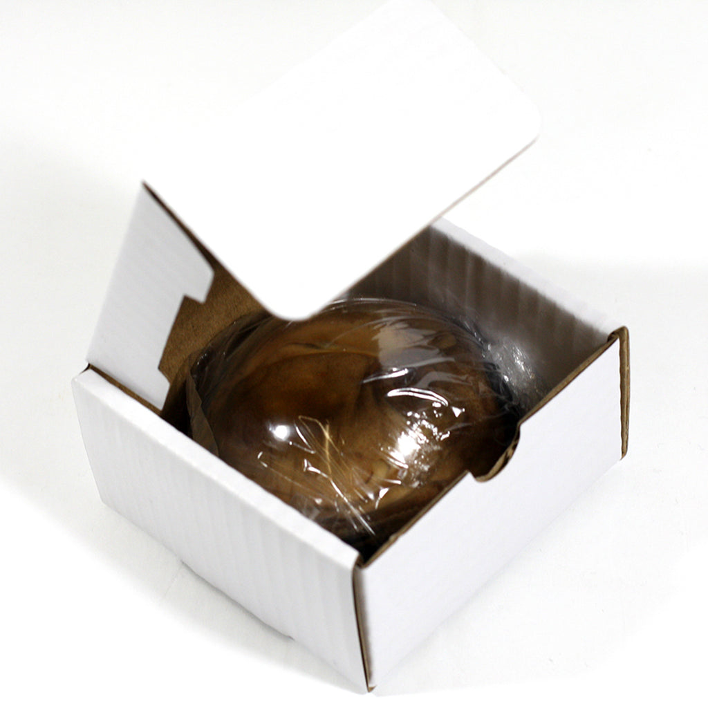 SS233<br/>Octopus Paperweight<br/>