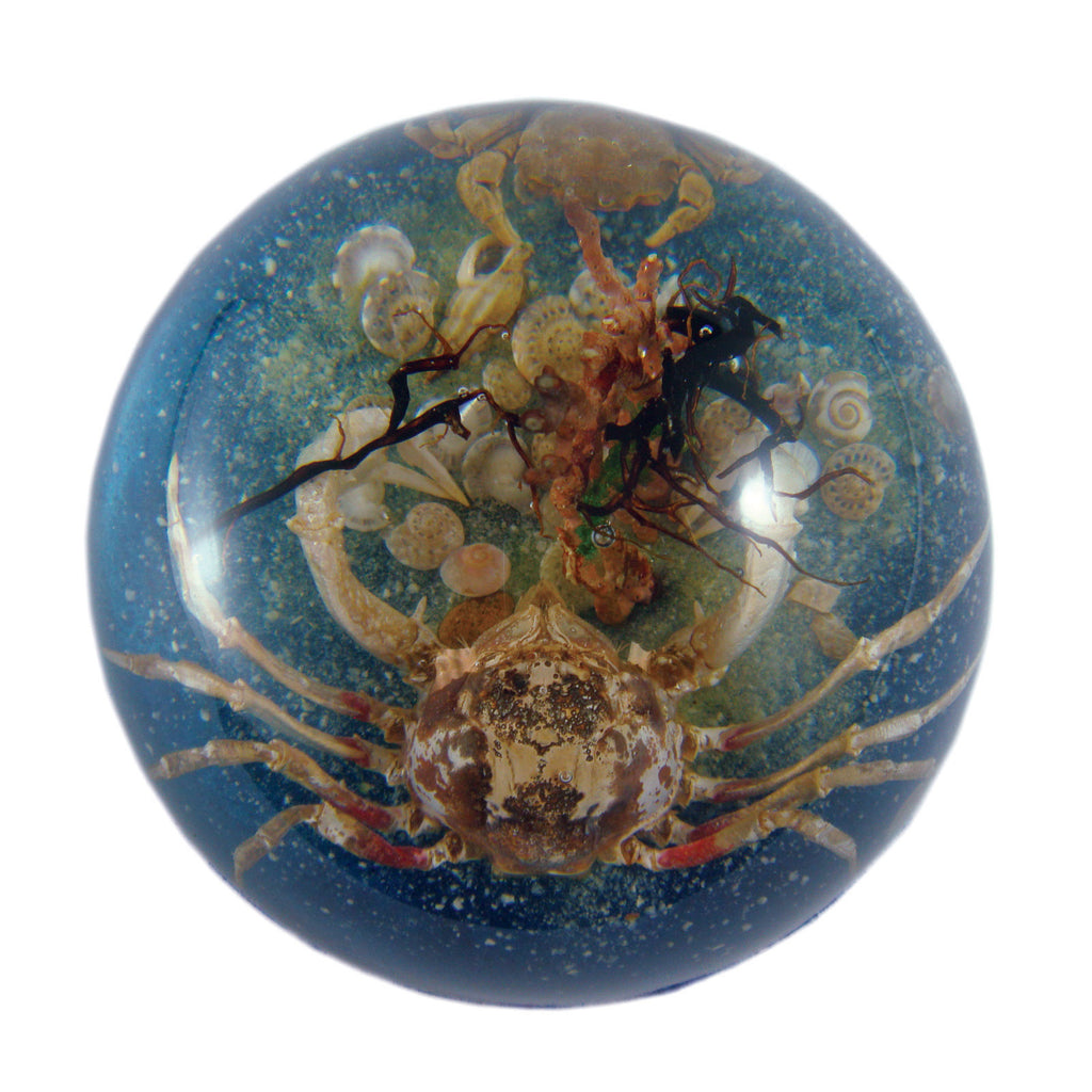 Big Crab & Little Crab Dome Paperweight (SS234)