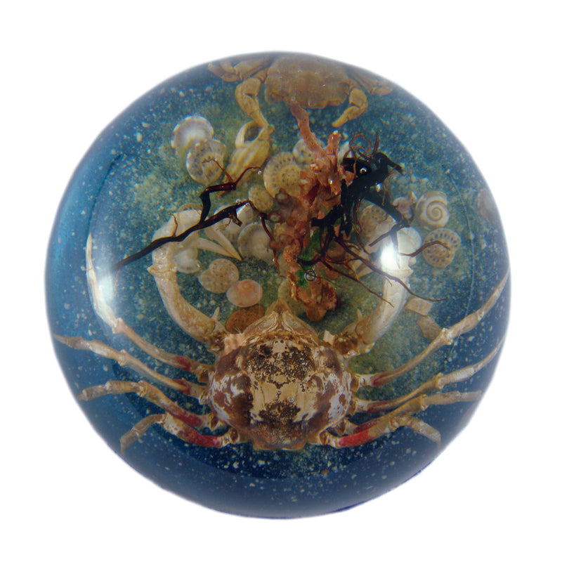 Big Crab & Little Crab Dome Paperweight (SS234)
