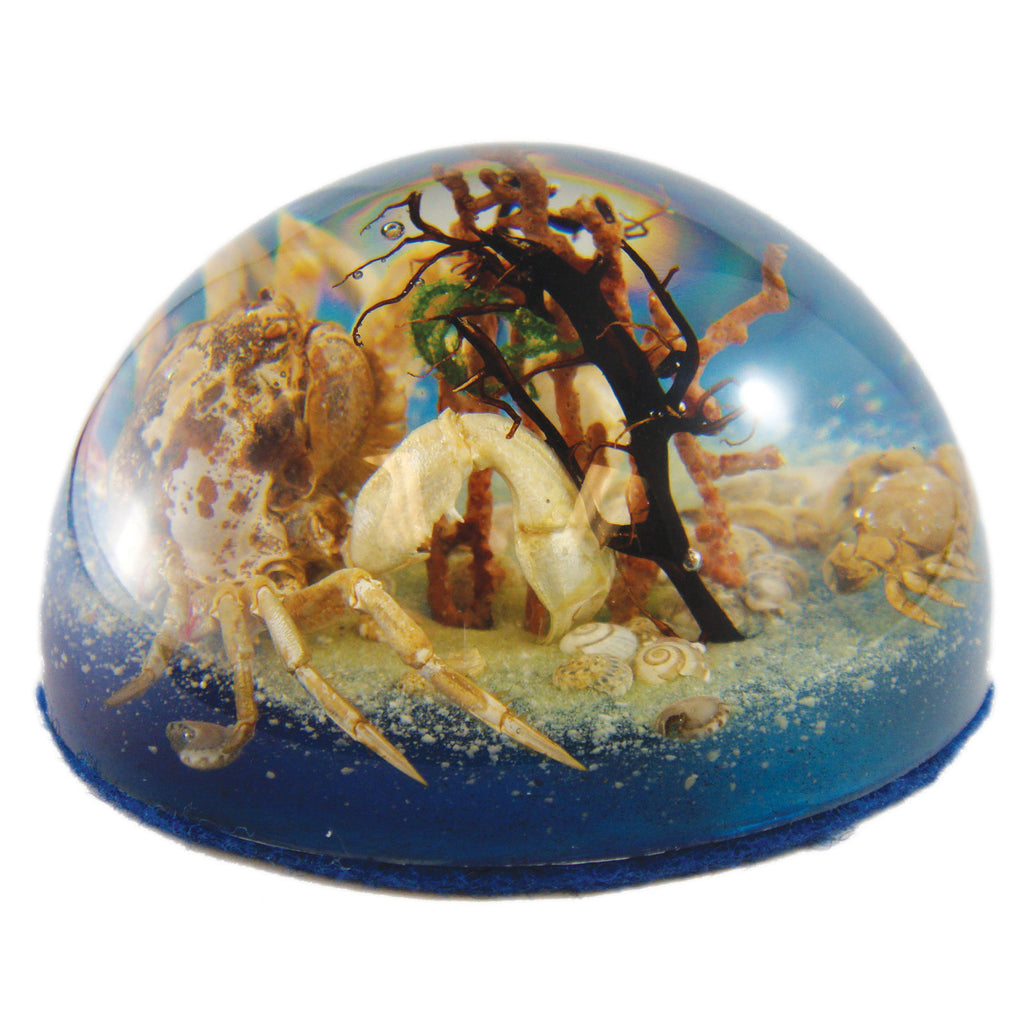 Big Crab & Little Crab Dome Paperweight (SS234)