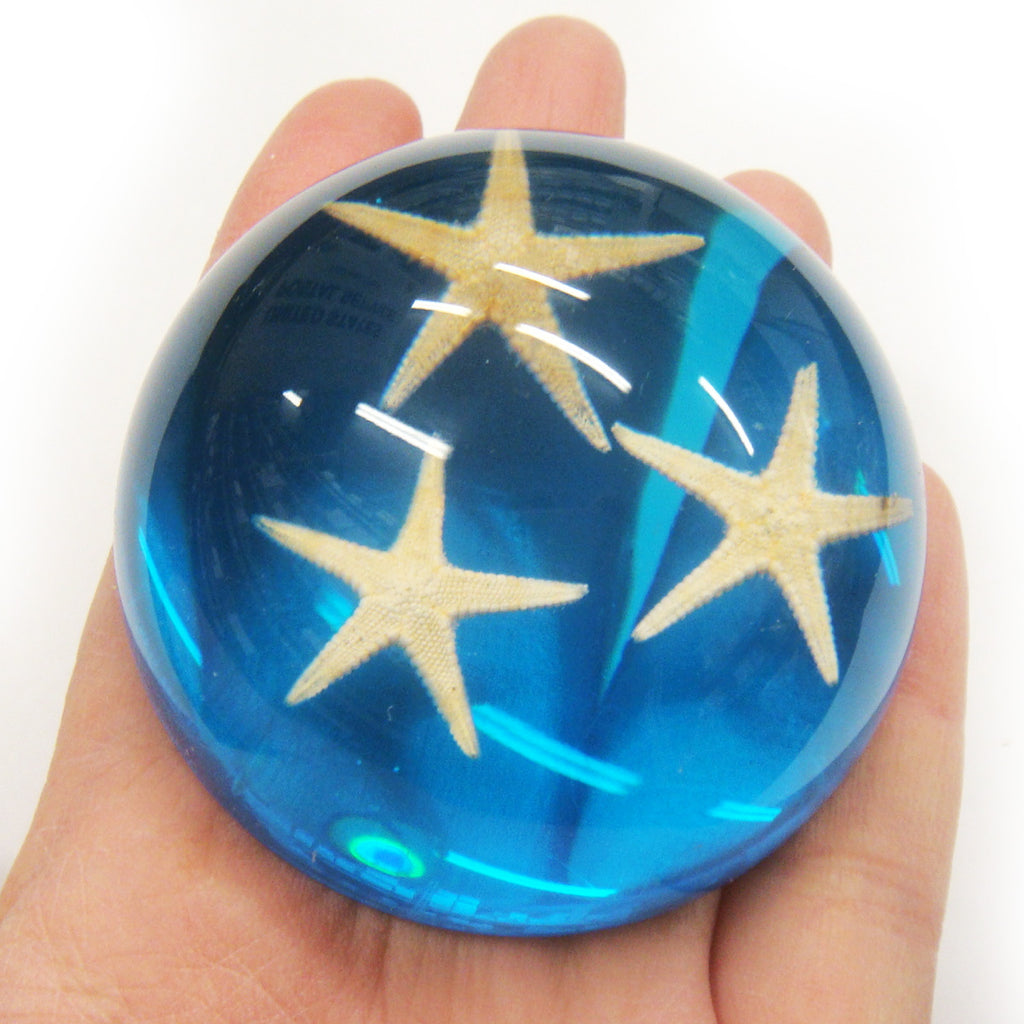 Starfish Dome Paperweight Blue (T1021)