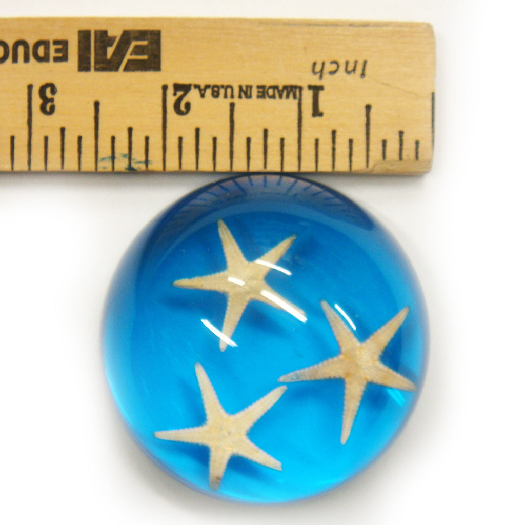 Starfish Dome Paperweight Blue (T1021)