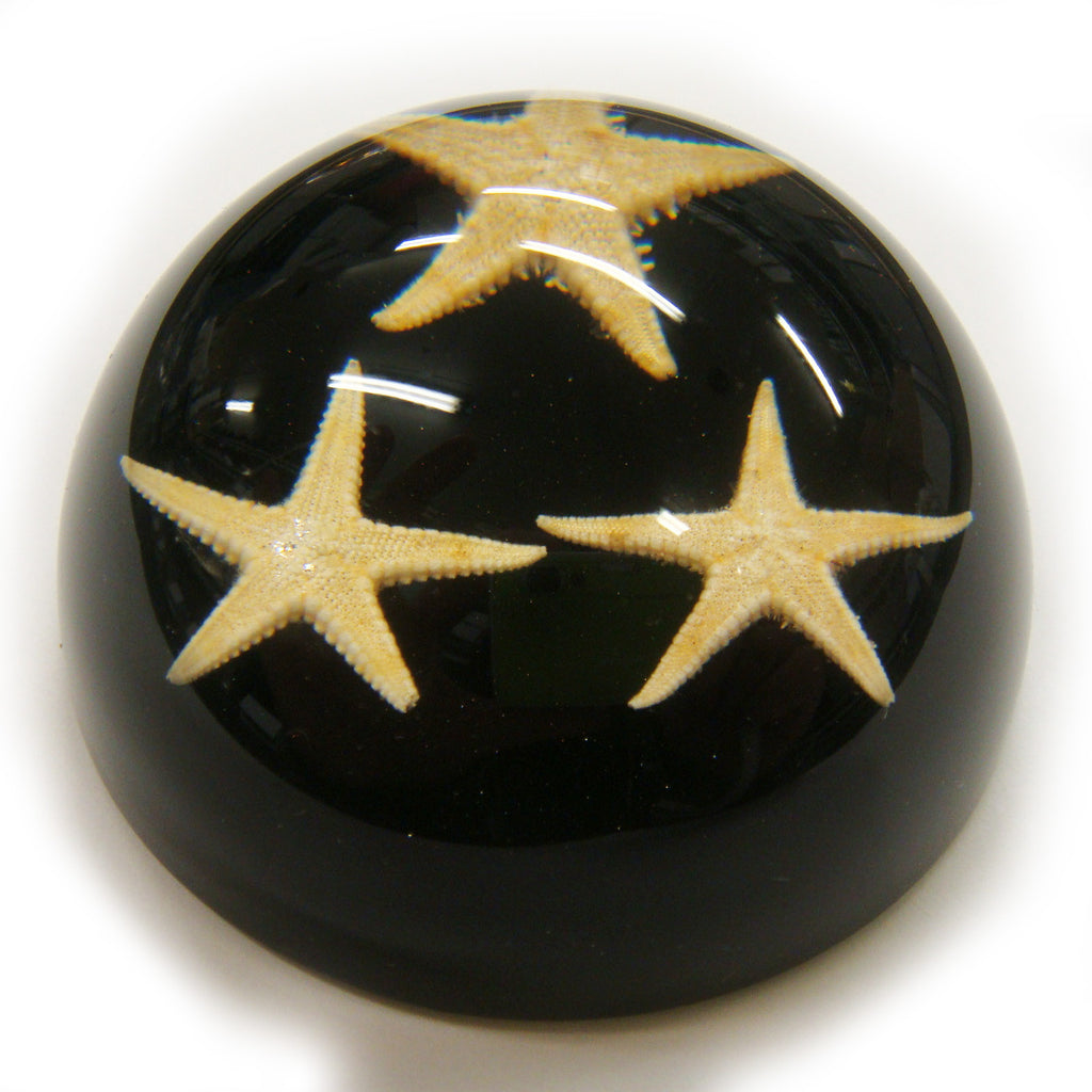 Starfish Dome Paperweight Black (T1022)