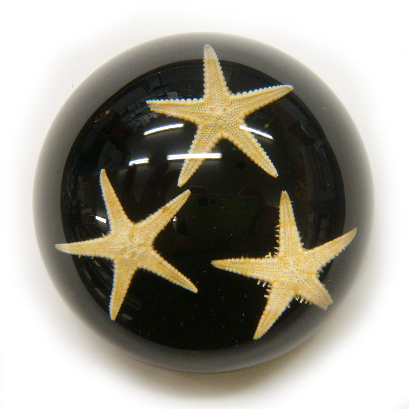 Starfish Dome Paperweight Black (T1022)