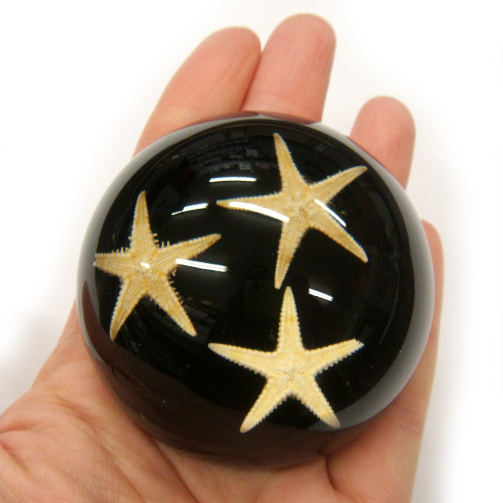 Starfish Dome Paperweight Black (T1022)