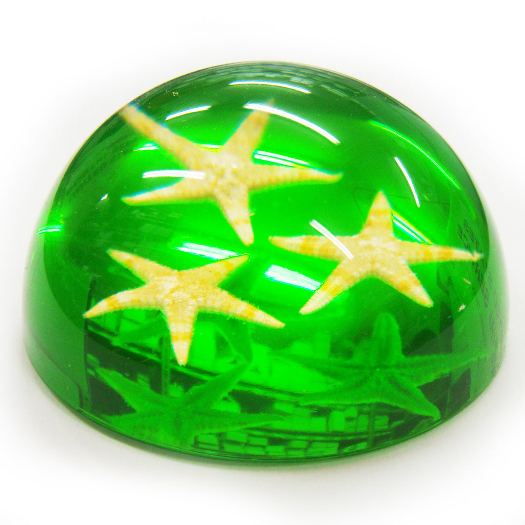 Starfish Dome Paperweight Green (T1023)
