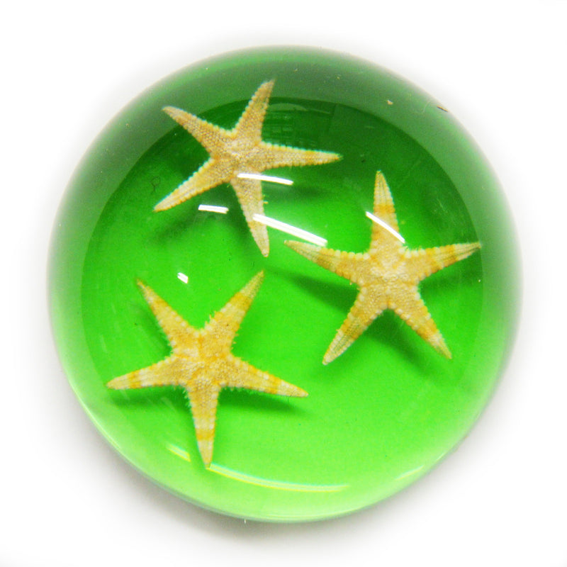 Starfish Dome Paperweight Green (T1023)