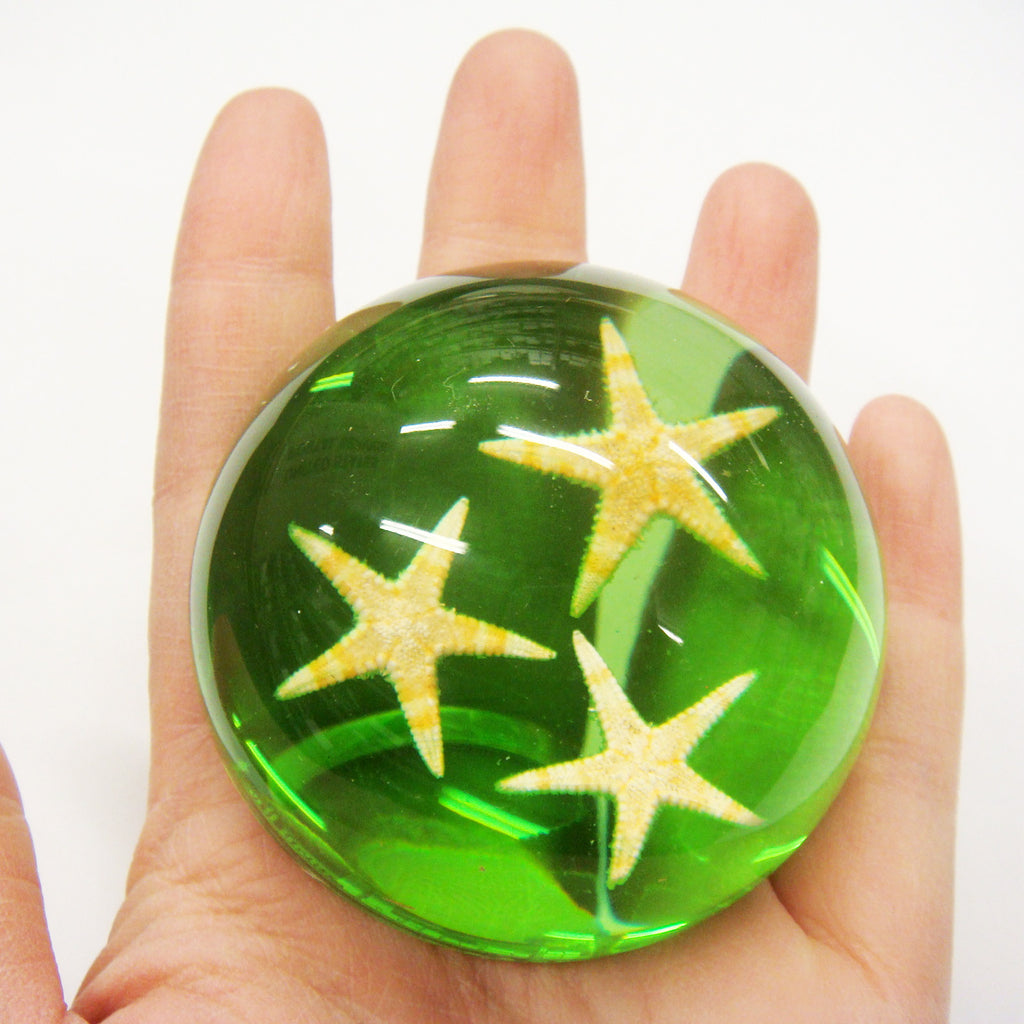 Starfish Dome Paperweight Green (T1023)