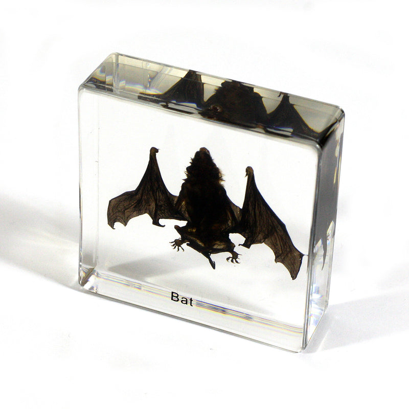 T420S<br />Small Bat Desk Decoration<br />