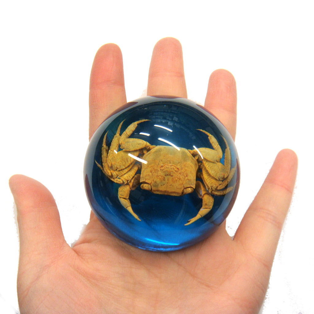 Crab Dome Paperweight Blue (T5021)