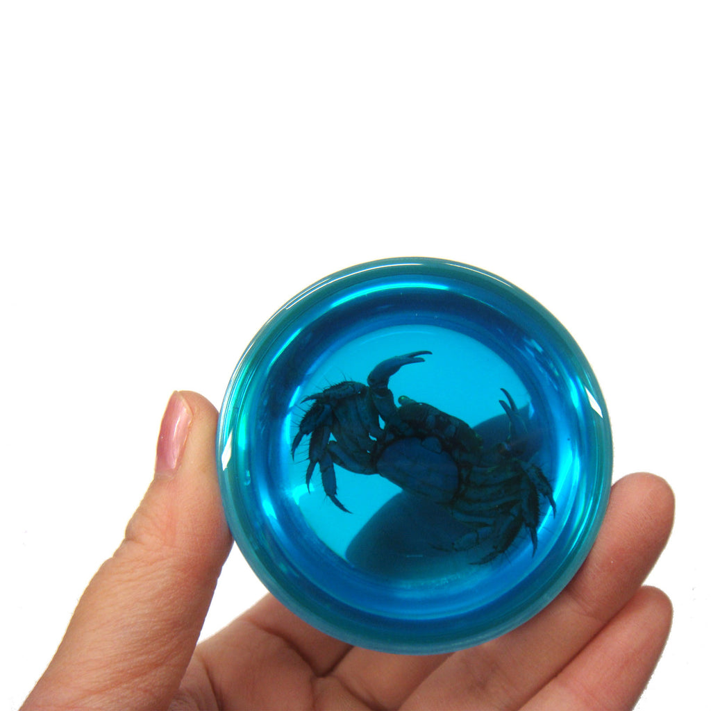 Crab Dome Paperweight Blue (T5021)