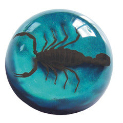 TC204<br />Black Scorpion<br />