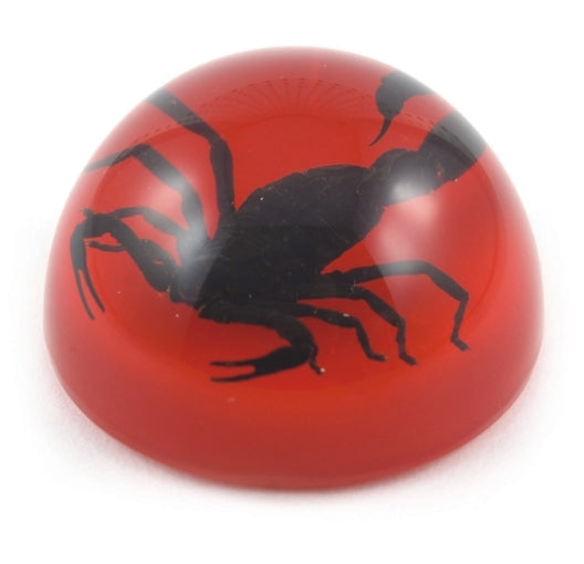 TC201<br />Black Scorpion<br />