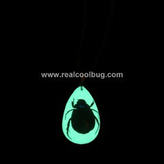 YD1105<br />Green Chafer<br />Beetle