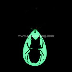 YK604<br />Stag Beetle