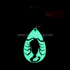 YK608<br />Black Scorpion<br />