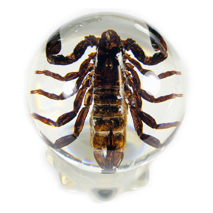 GL10<br/>Black Scorpion Globe Desk Decoration