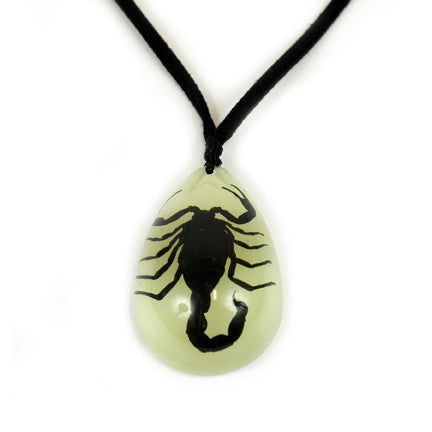 Luminous Real Scorpion Necklace Vintage Resin Insect Beetle Spider Amber  Pendant Rope Chain Necklaces Glow In Dark Jewelry