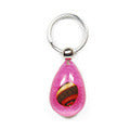 Zigzag Nerite Shell Key Chain, Pink, Tear Drop (OK204)