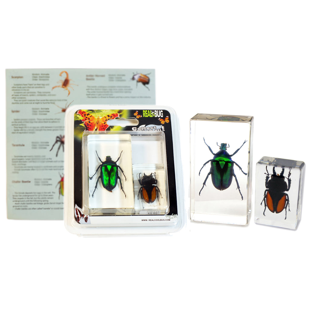 PWC422<br />2 pc Beetles Paperweight