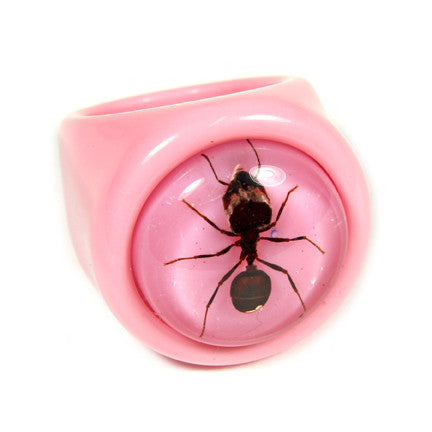 R0024<br/>Ant Ring