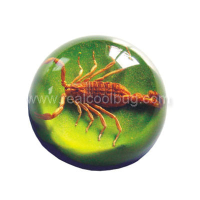 TC103<br />Scorpion<br />