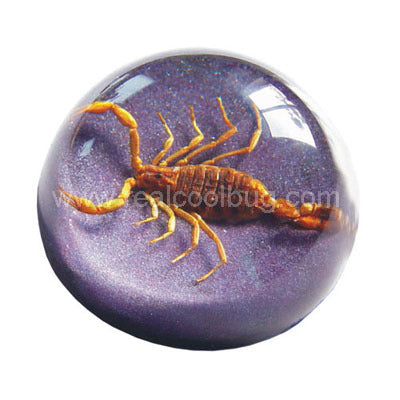 TC202<br />Scorpion<br />