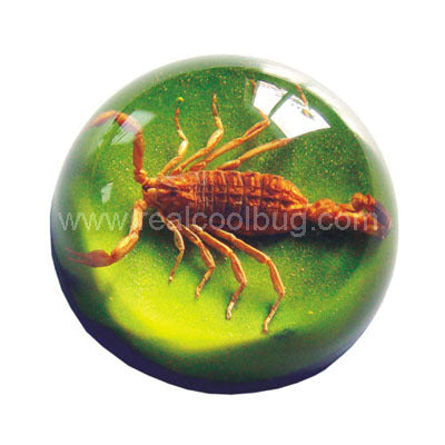 TC203<br />Scorpion<br />