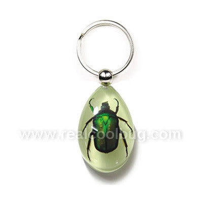 YK606<br />Green Chafer <br />Beetle