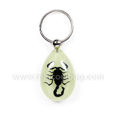 YK608<br />Black Scorpion<br />